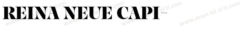 Reina Neue Capi字体转换